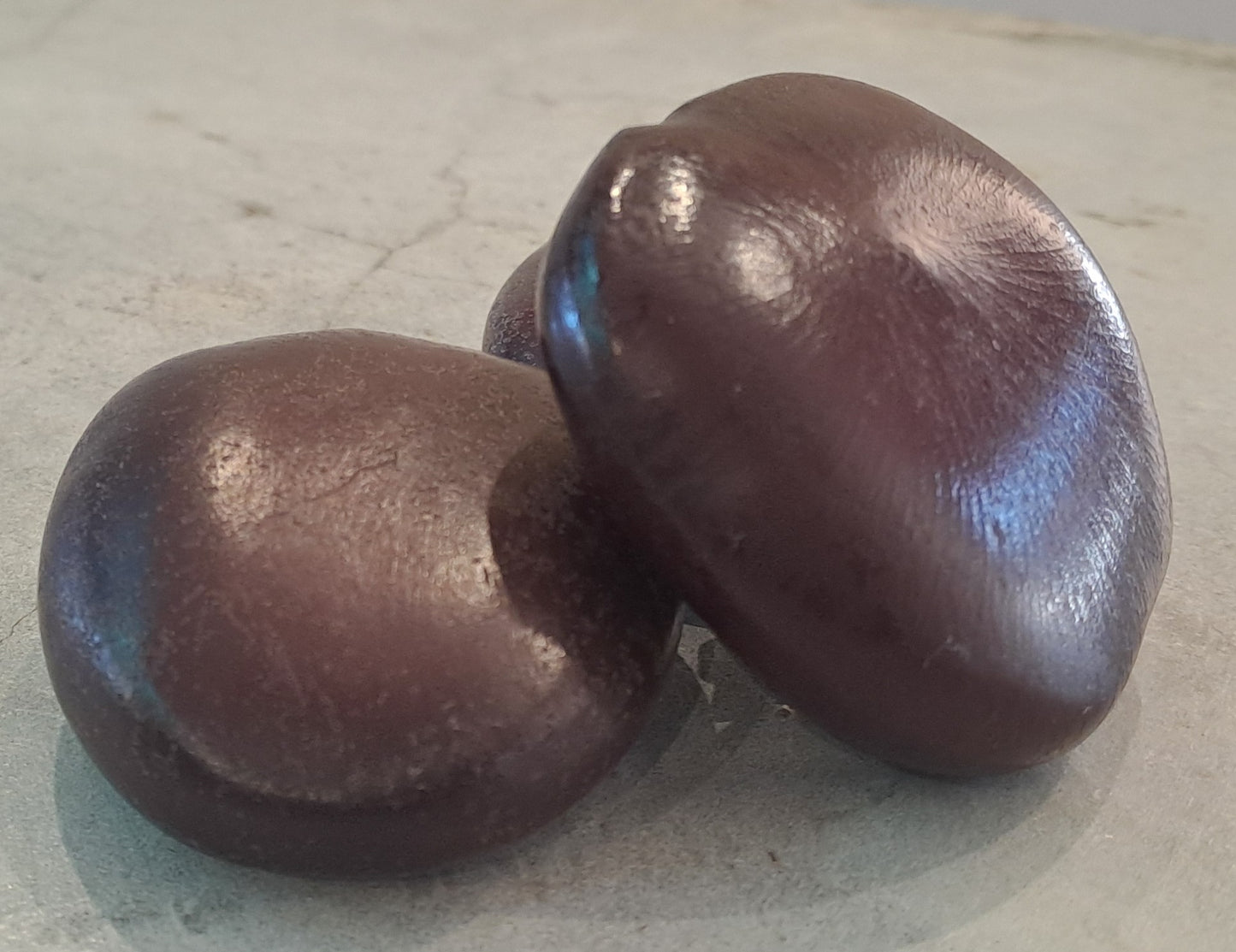 Sea Bean (African Dream Bean) - Whole