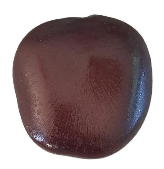 Sea Bean (African Dream Bean) - Whole